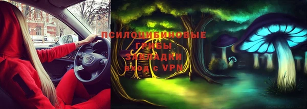соль ск Балахна