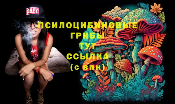 мет Баксан