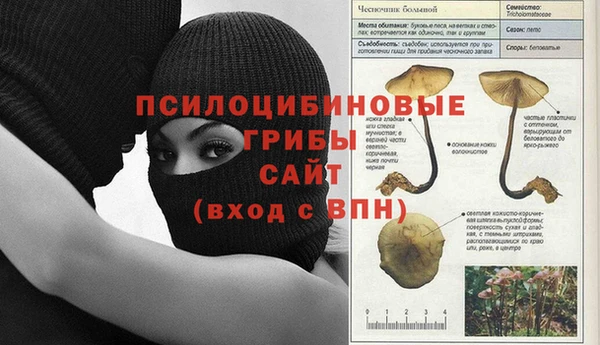 мет Баксан