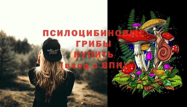 мет Баксан