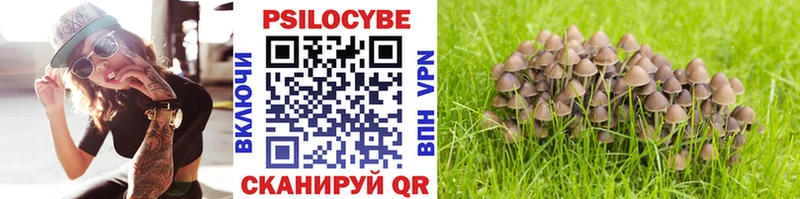 купить наркоту Тихорецк Псилоцибиновые грибы Psilocybine cubensis